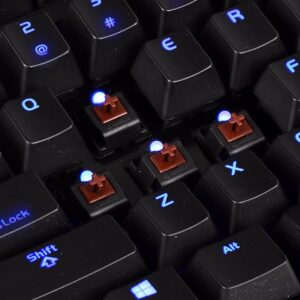 POSEIDON ZX (Brown Switch Edition) - Image 4