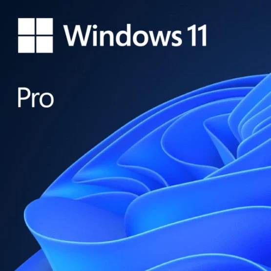 Microsoft Windows 11 PRO 64 BIT DSP DVD - Image 2