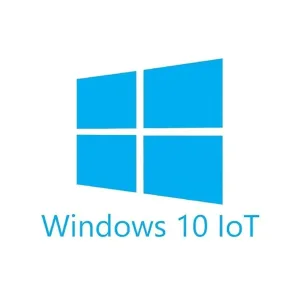 Windows 10 IOT Enterprise LTSB 2021 Value