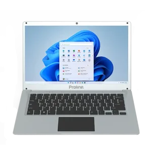 Proline V146 14" Celeron 8GB 256GB Win 11 Home Silver Notebook