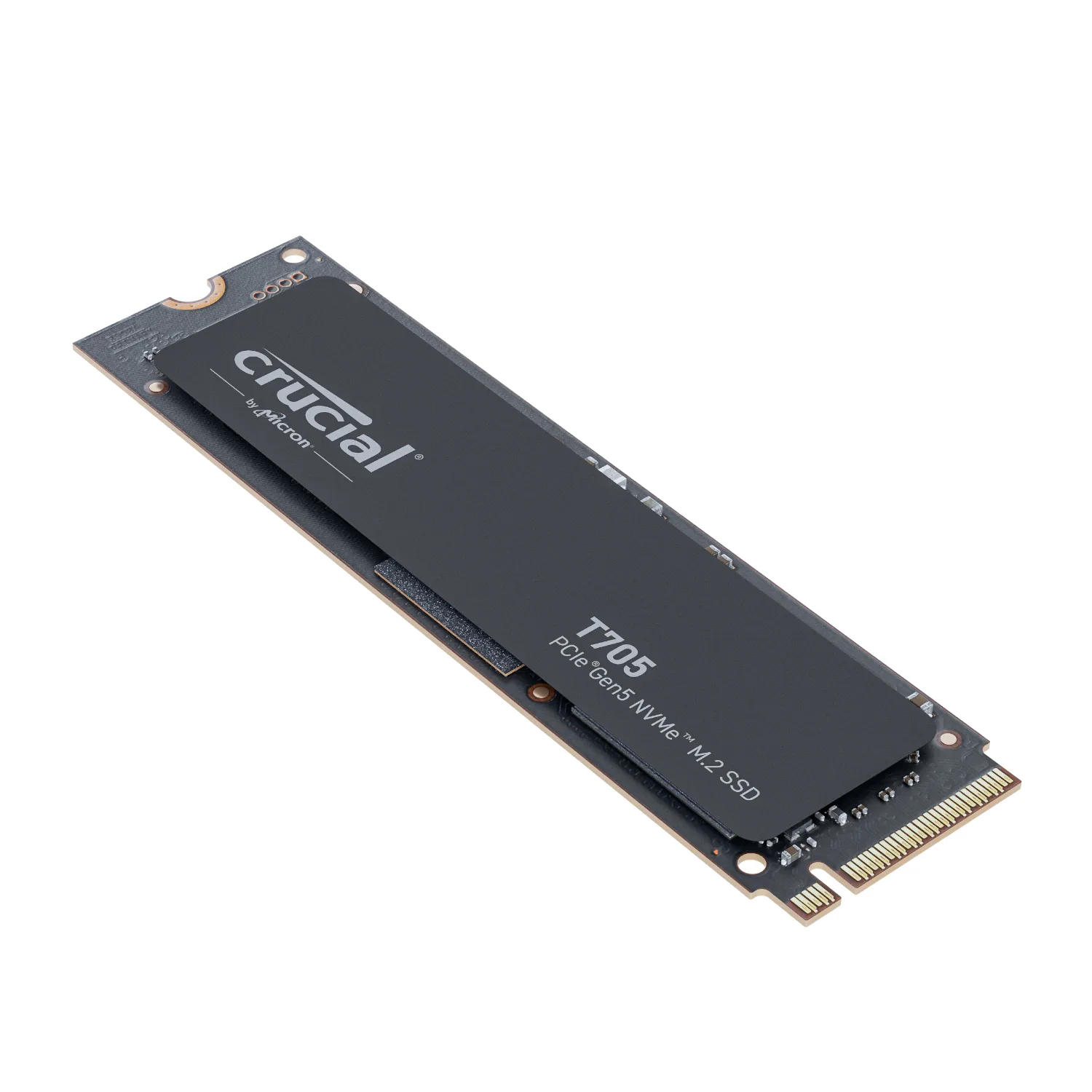 PCBuilder Ryzen 9 9900X MICHELANGELO Windows 11 Creator PC - Image 12